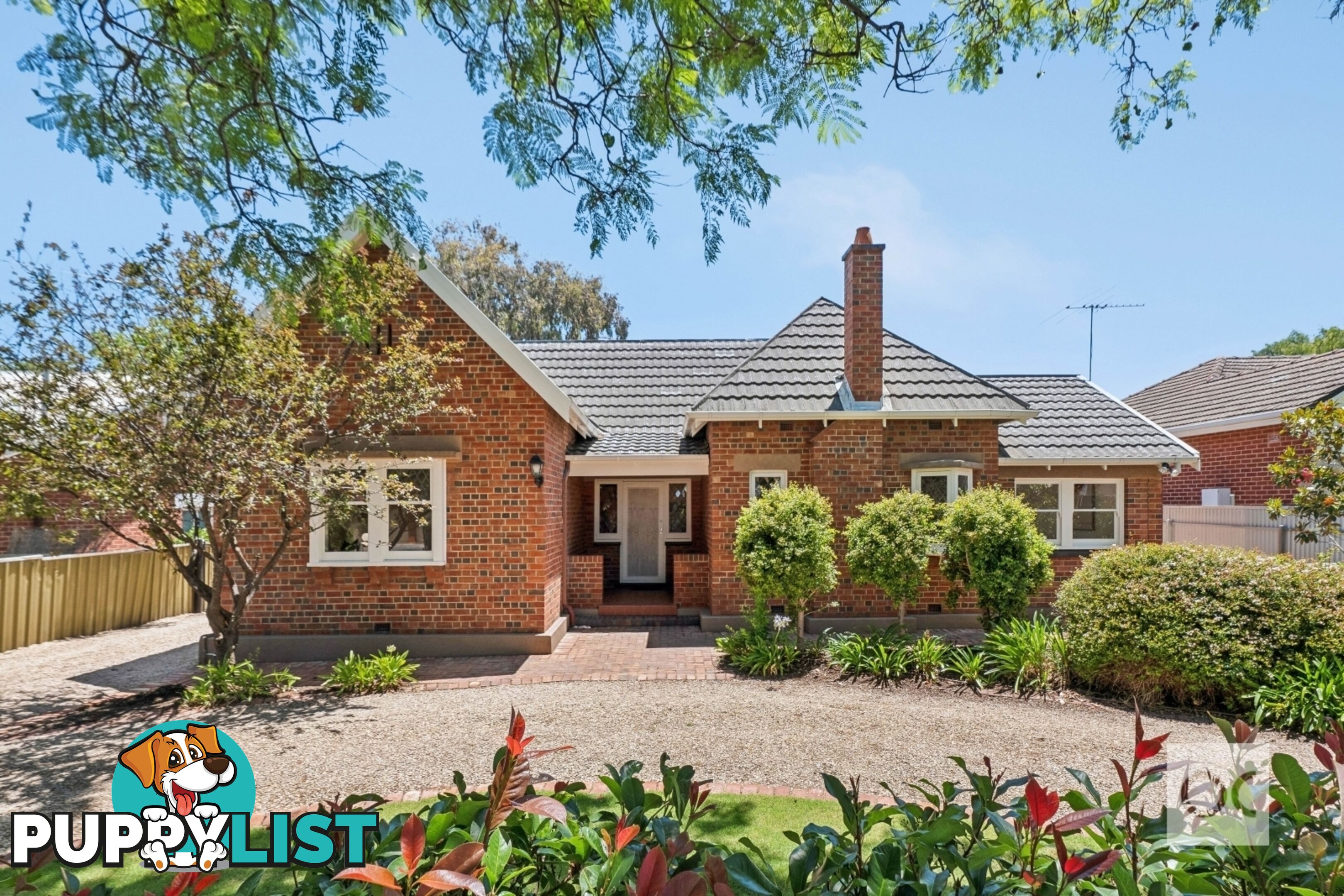 65 Constance Street Westbourne Park SA 5041