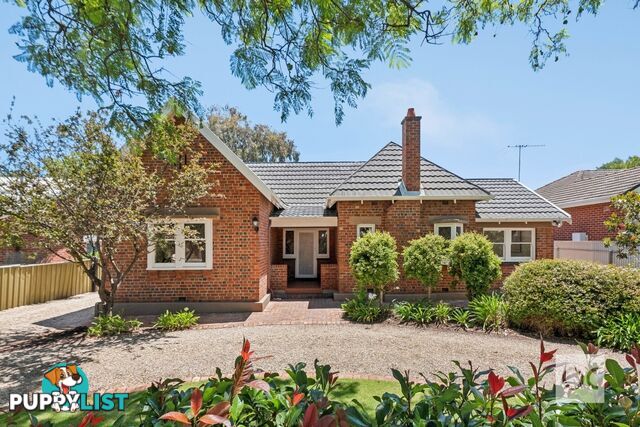 65 Constance Street Westbourne Park SA 5041