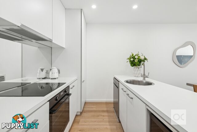 13a Halls Place Adelaide SA 5000