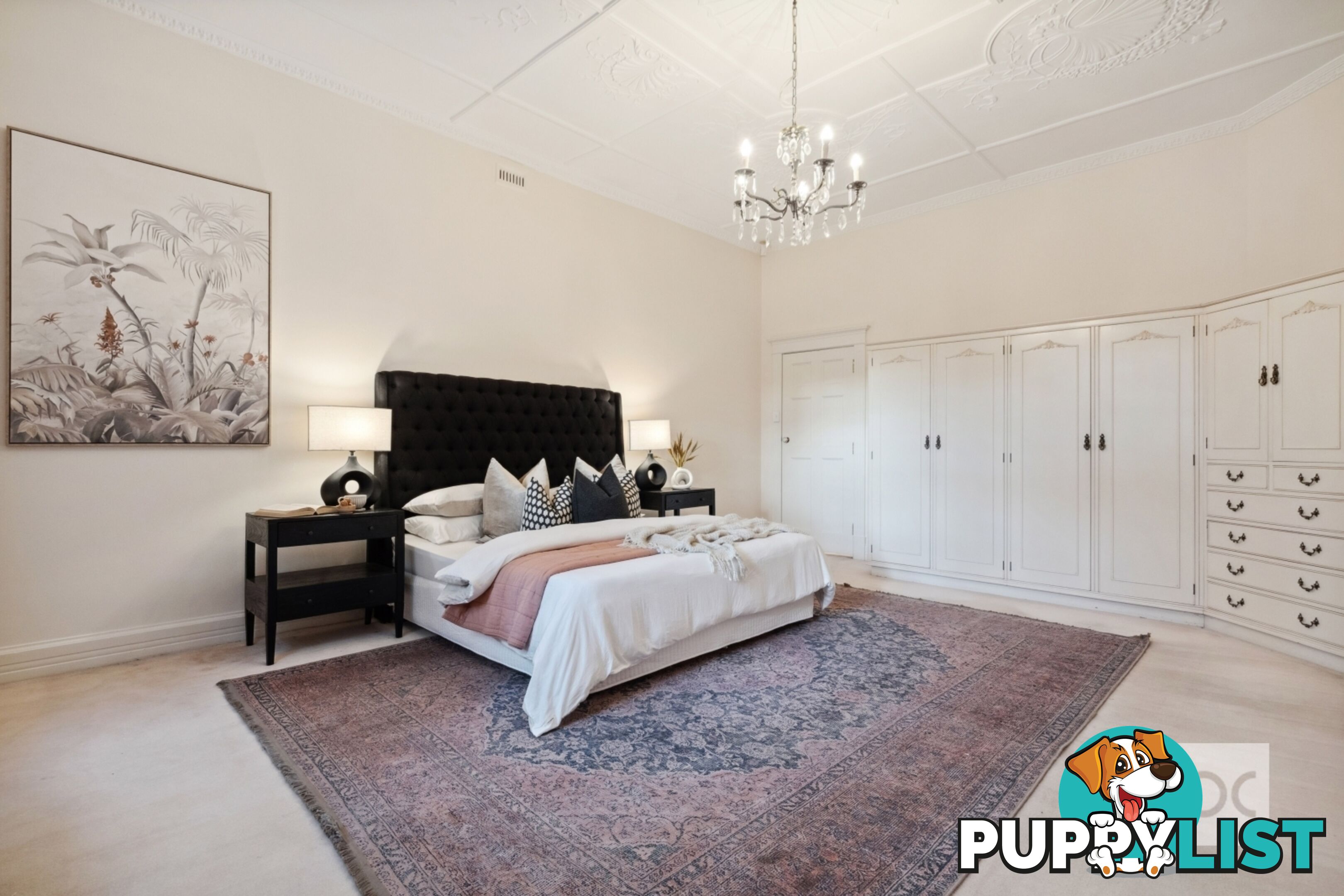 19 Whistler Avenue Unley Park SA 5061