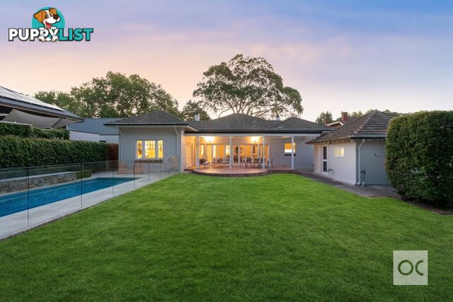 19 Whistler Avenue Unley Park SA 5061