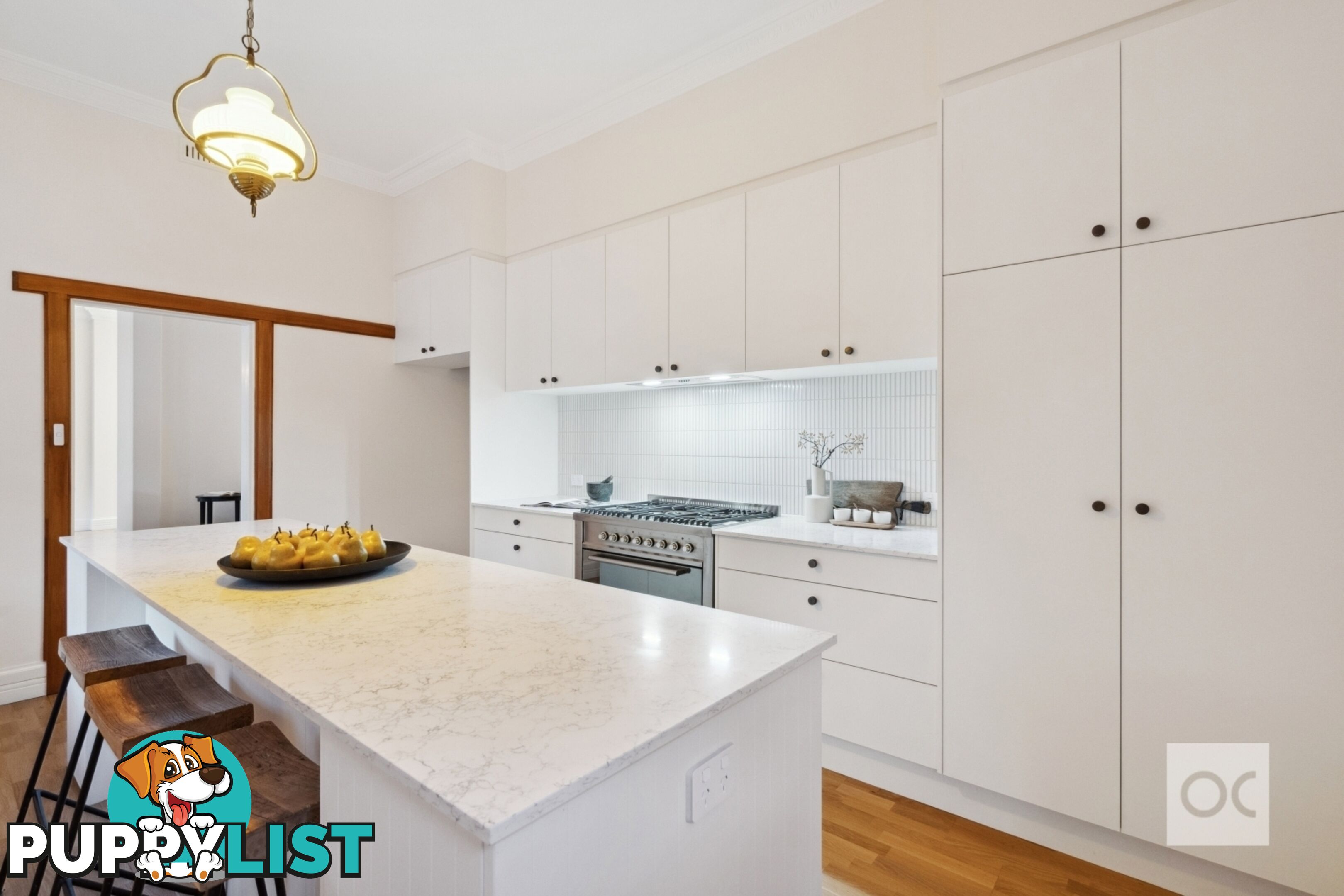 19 Whistler Avenue Unley Park SA 5061