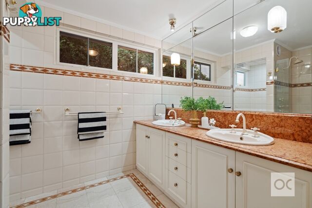 19 Whistler Avenue Unley Park SA 5061