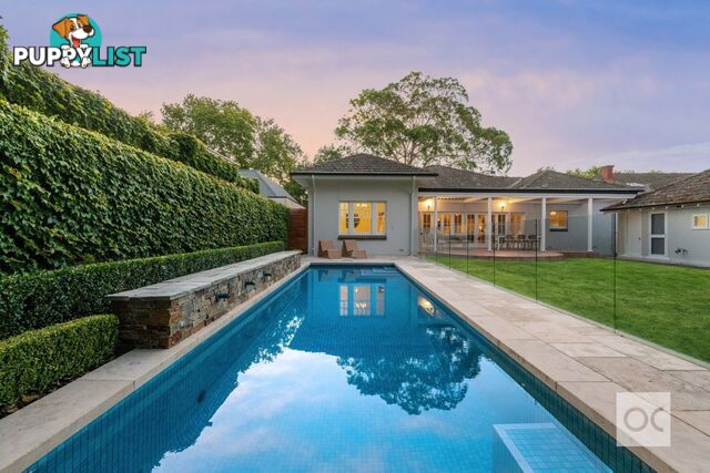 19 Whistler Avenue Unley Park SA 5061