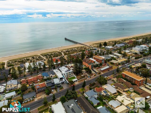 564 Seaview Road Grange SA 5022