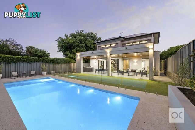 15 Victoria Street Prospect SA 5082