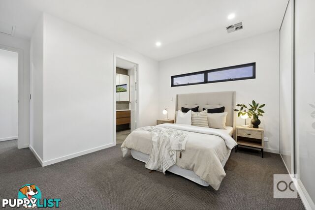 15 Victoria Street Prospect SA 5082