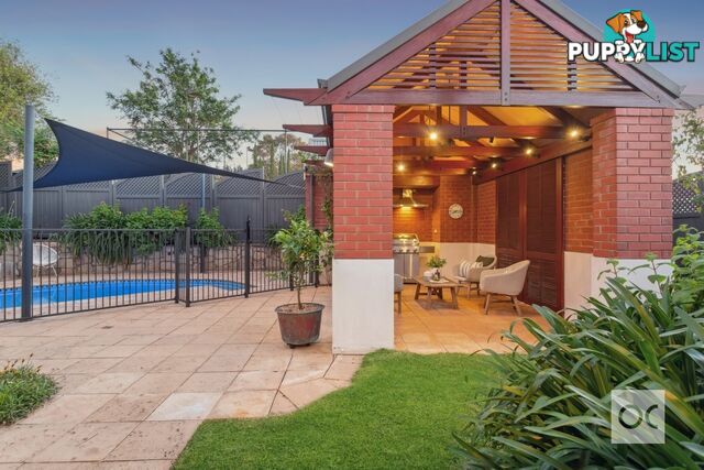 1 Eli Street Torrens Park SA 5062