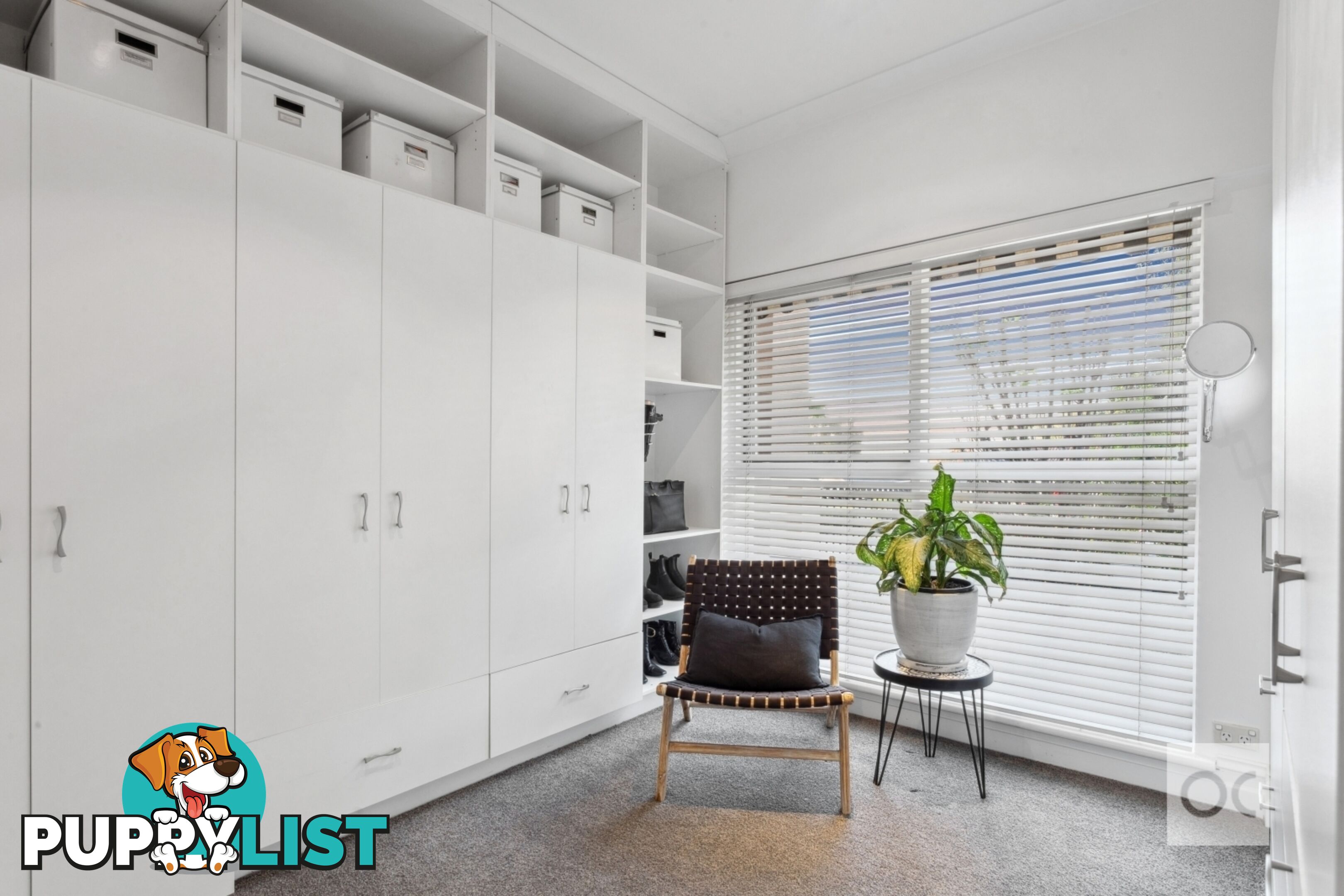 1 Eli Street Torrens Park SA 5062