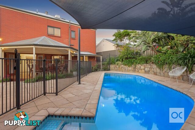 1 Eli Street Torrens Park SA 5062