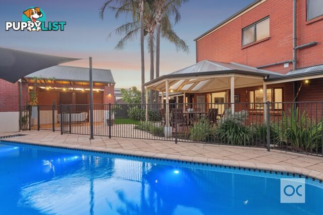 1 Eli Street Torrens Park SA 5062