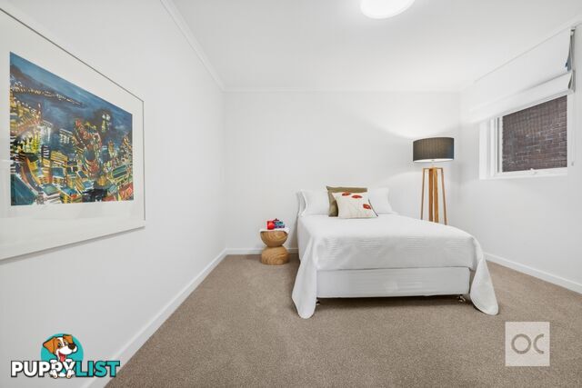 9 Wilson Court Rosslyn Park SA 5072