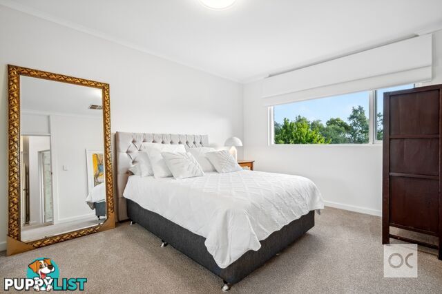 9 Wilson Court Rosslyn Park SA 5072