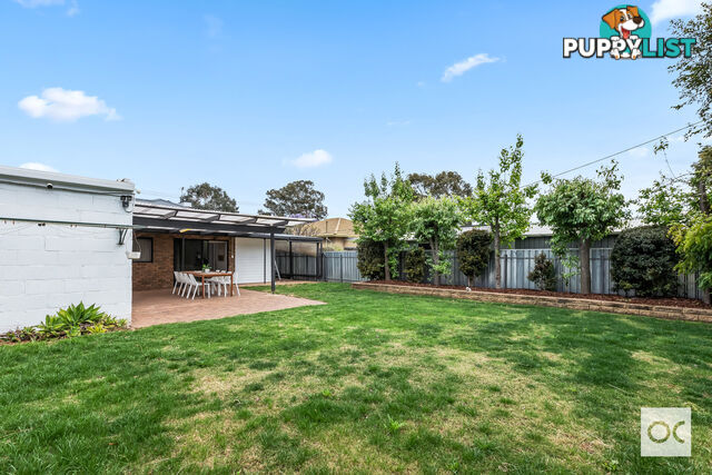 513 Goodwood Road Colonel Light Gardens SA 5041