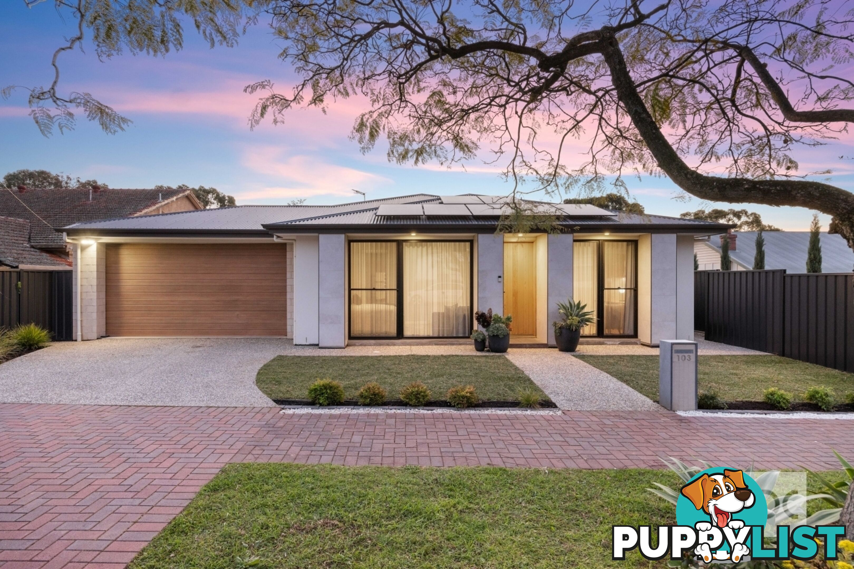 103 Sydney Street Glenunga SA 5064