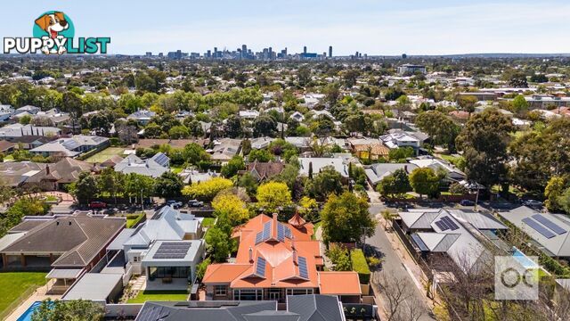 19 Northgate Street Unley Park SA 5061