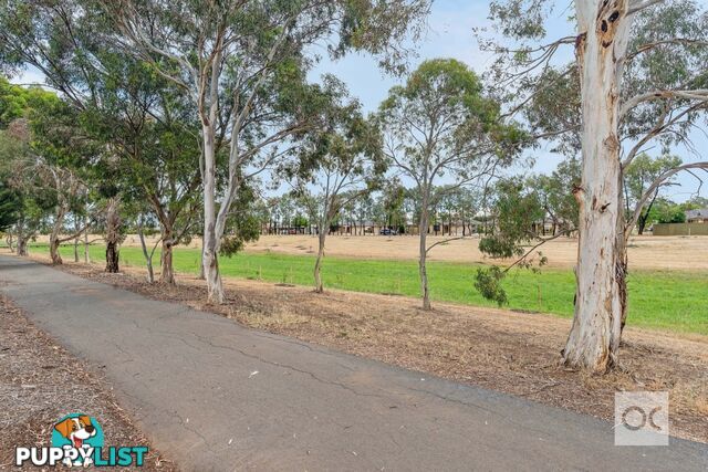 10 MacFarlane Way Andrews Farm SA 5114