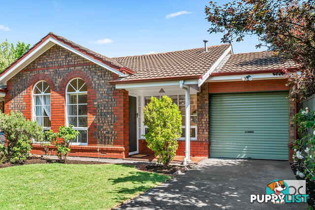 67a Winchester Street Malvern SA 5061