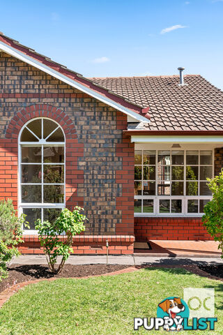 67a Winchester Street Malvern SA 5061