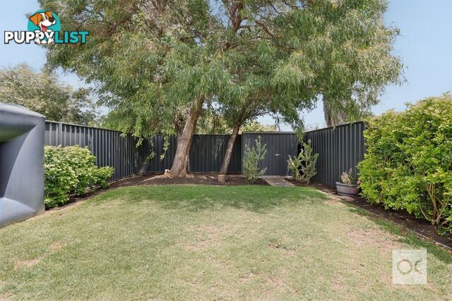 46a Dover Terrace Largs North SA 5016