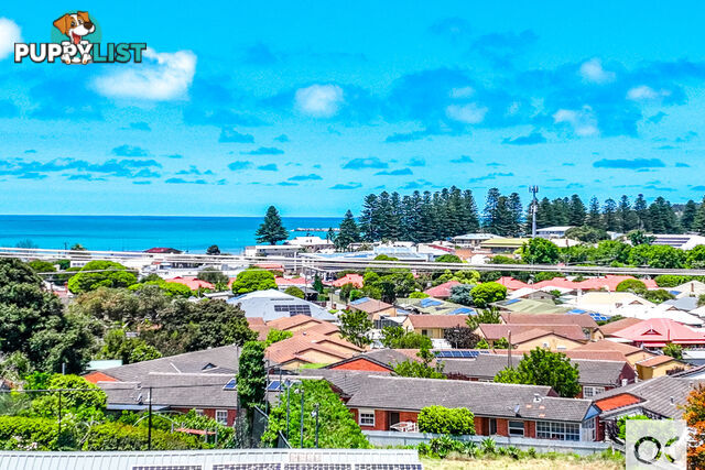 13 William Street Victor Harbor SA 5211