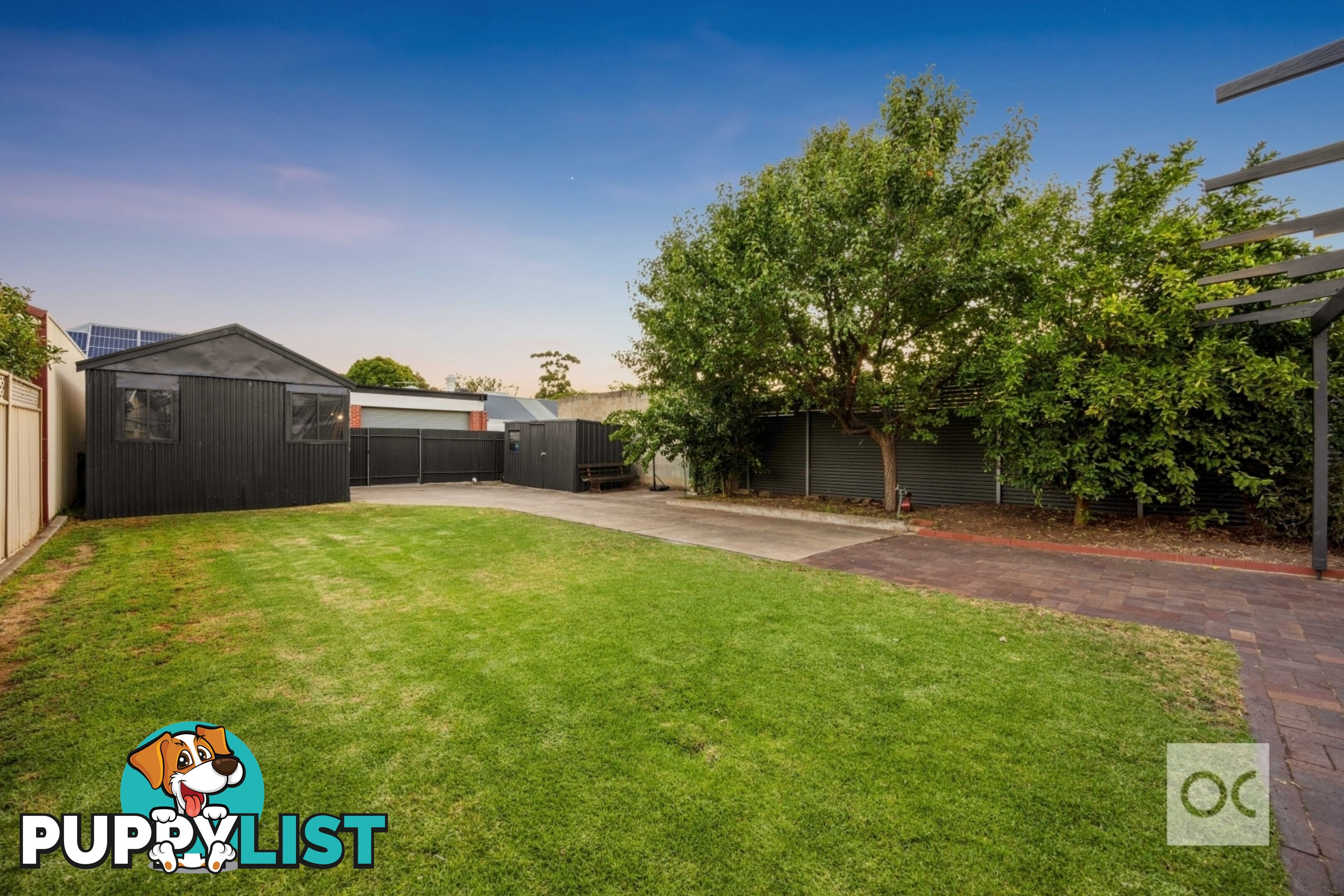 53 Rose Terrace Wayville SA 5034