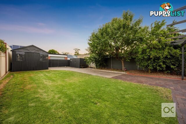 53 Rose Terrace Wayville SA 5034