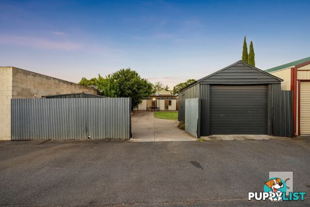 53 Rose Terrace Wayville SA 5034