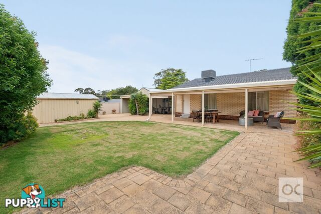 10 Munilla Avenue Fairview Park SA 5126