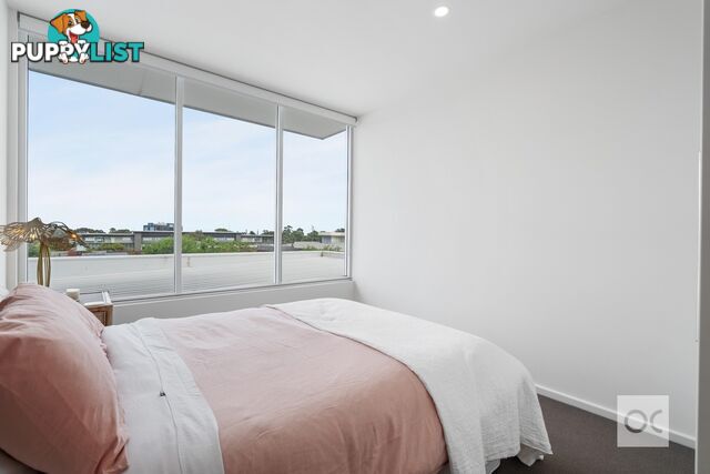 31/100 Rose Terrace Wayville SA 5034