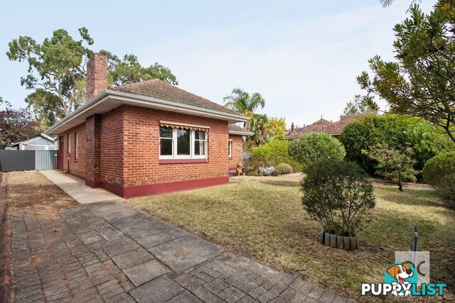 18 Pembroke Street Kensington Park SA 5068