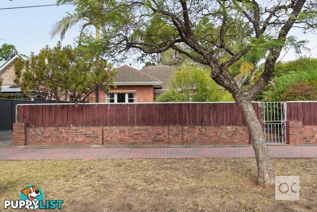 18 Pembroke Street Kensington Park SA 5068