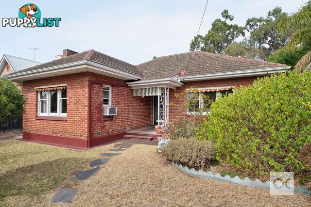 18 Pembroke Street Kensington Park SA 5068