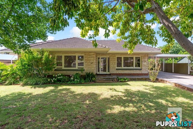 2 Norseman Avenue Westbourne Park SA 5041