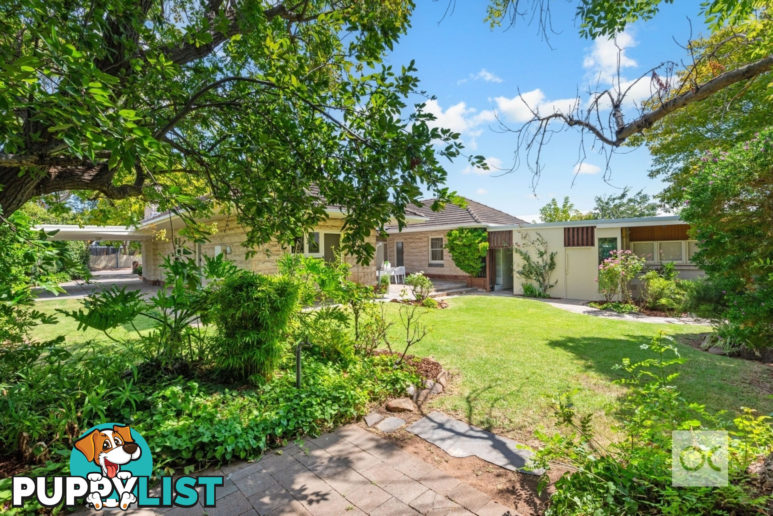 2 Norseman Avenue Westbourne Park SA 5041