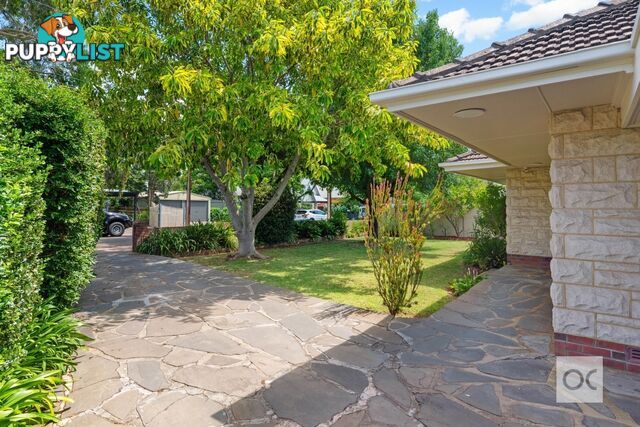 2 Norseman Avenue Westbourne Park SA 5041