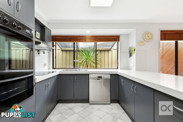 3 Carlsson Place Hope Valley SA 5090