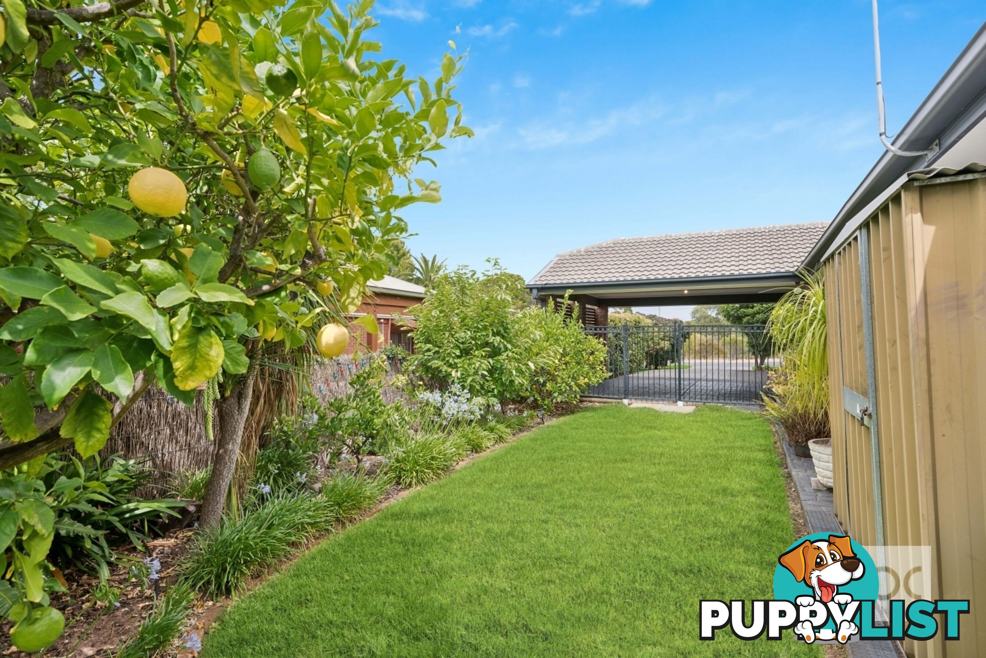 3 Carlsson Place Hope Valley SA 5090
