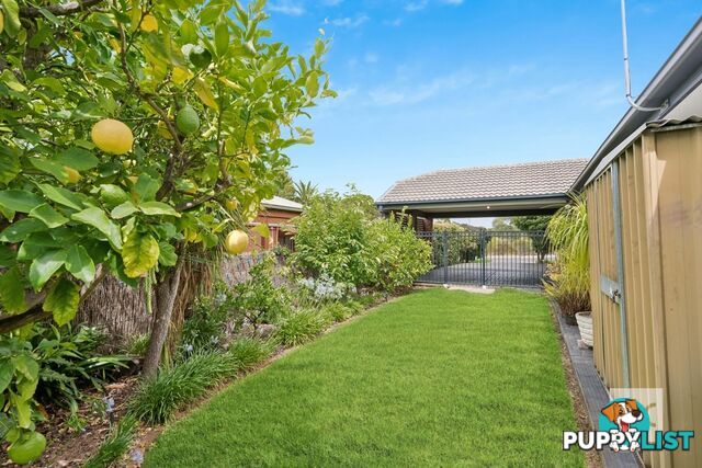 3 Carlsson Place Hope Valley SA 5090
