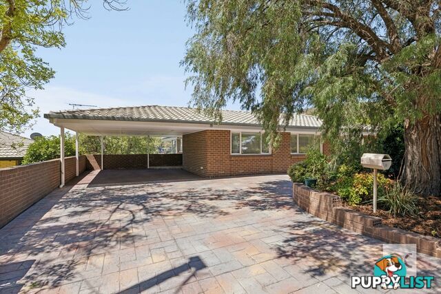 8 Gumbrae Avenue Beaumont SA 5066