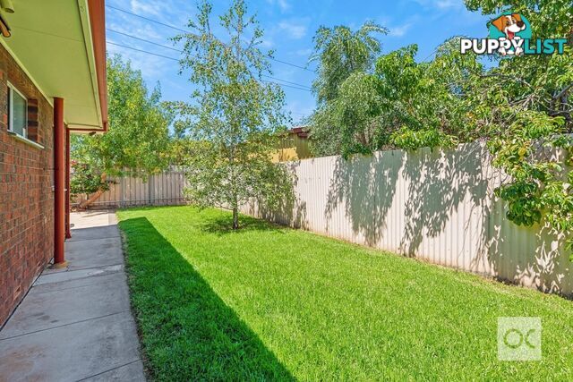 3/13 Hughes Street Unley SA 5061