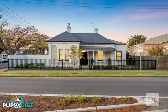 210 Young Street Unley SA 5061