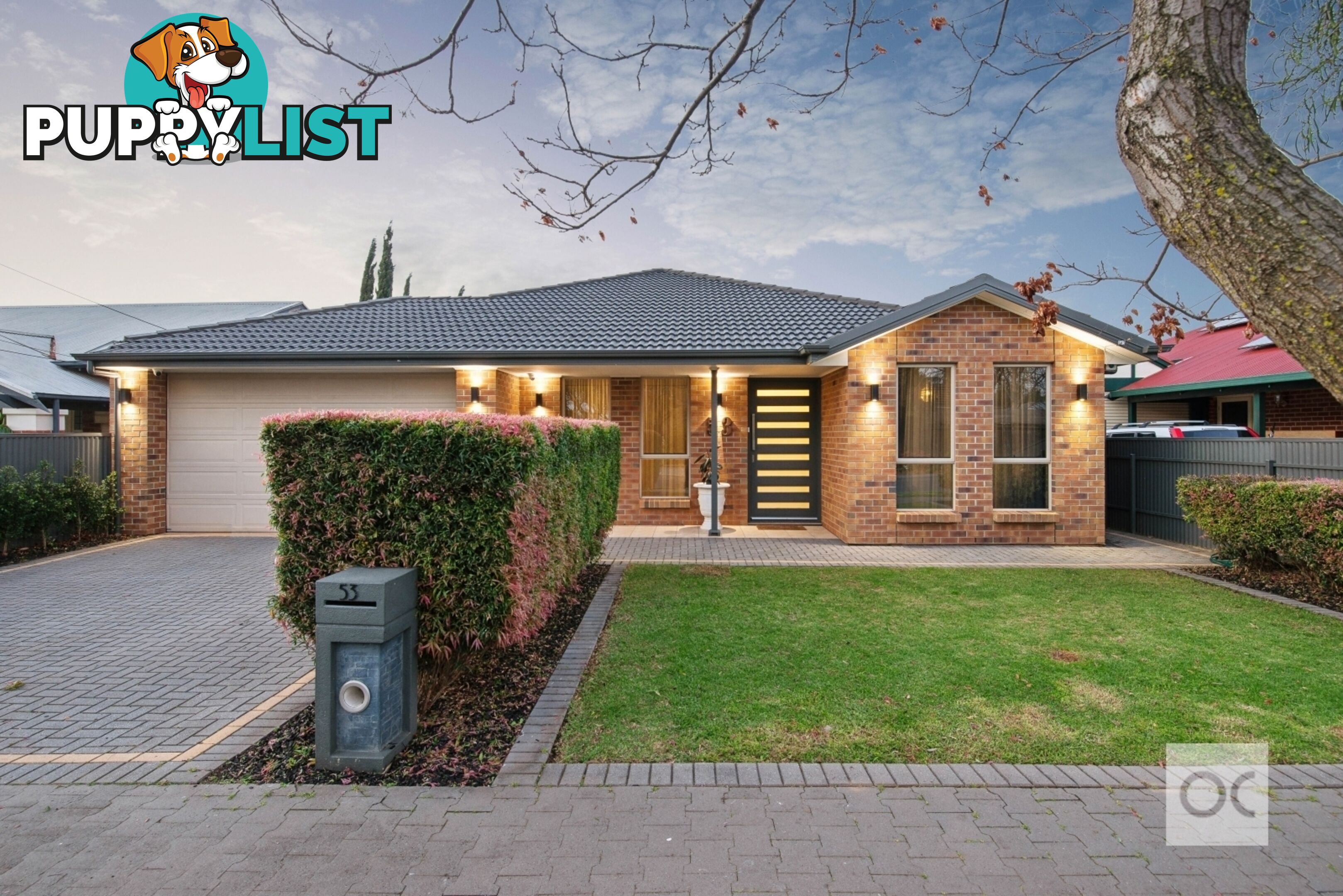 53 Gladys Street Clarence Gardens SA 5039