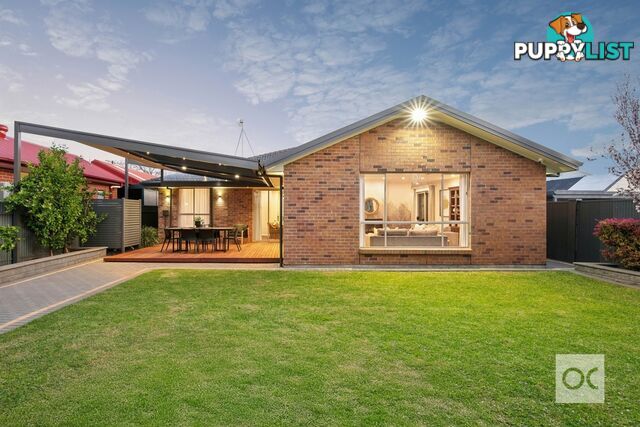 53 Gladys Street Clarence Gardens SA 5039