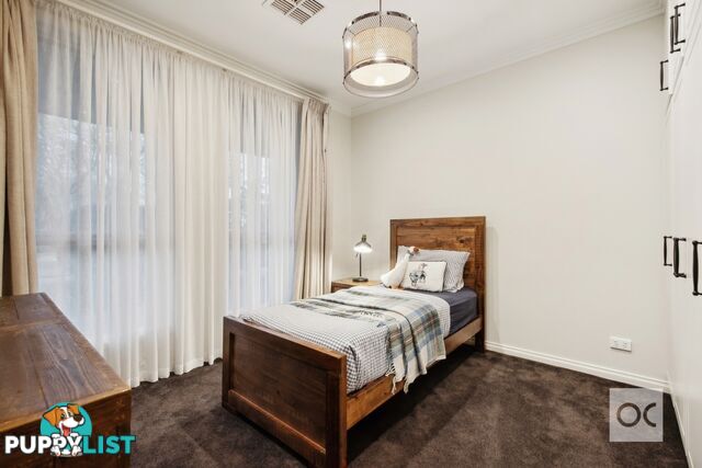 53 Gladys Street Clarence Gardens SA 5039