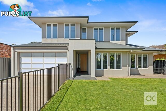 129 Cliff Street Glengowrie SA 5044