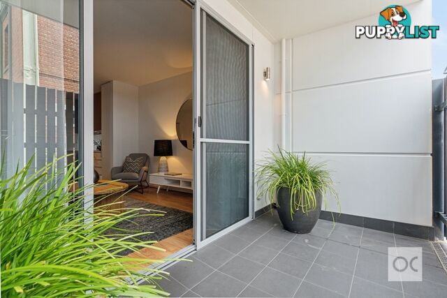 1/11 Shannon Place Adelaide SA 5000