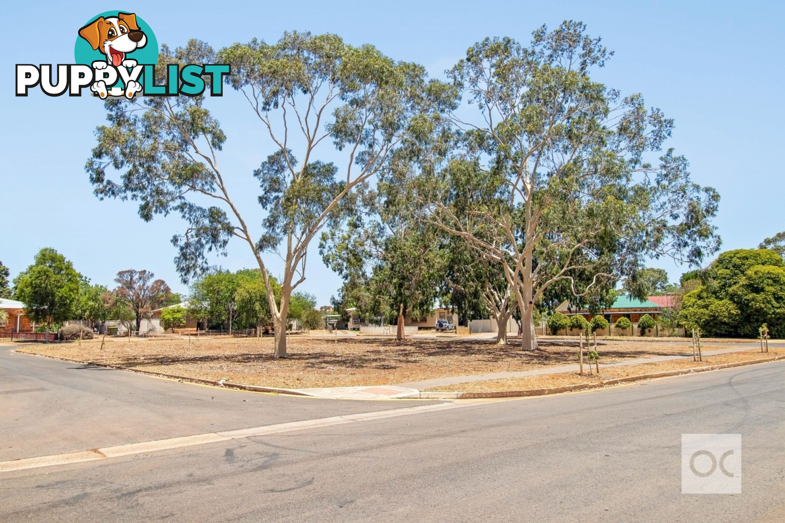 11 Loftis Road Elizabeth Downs SA 5113