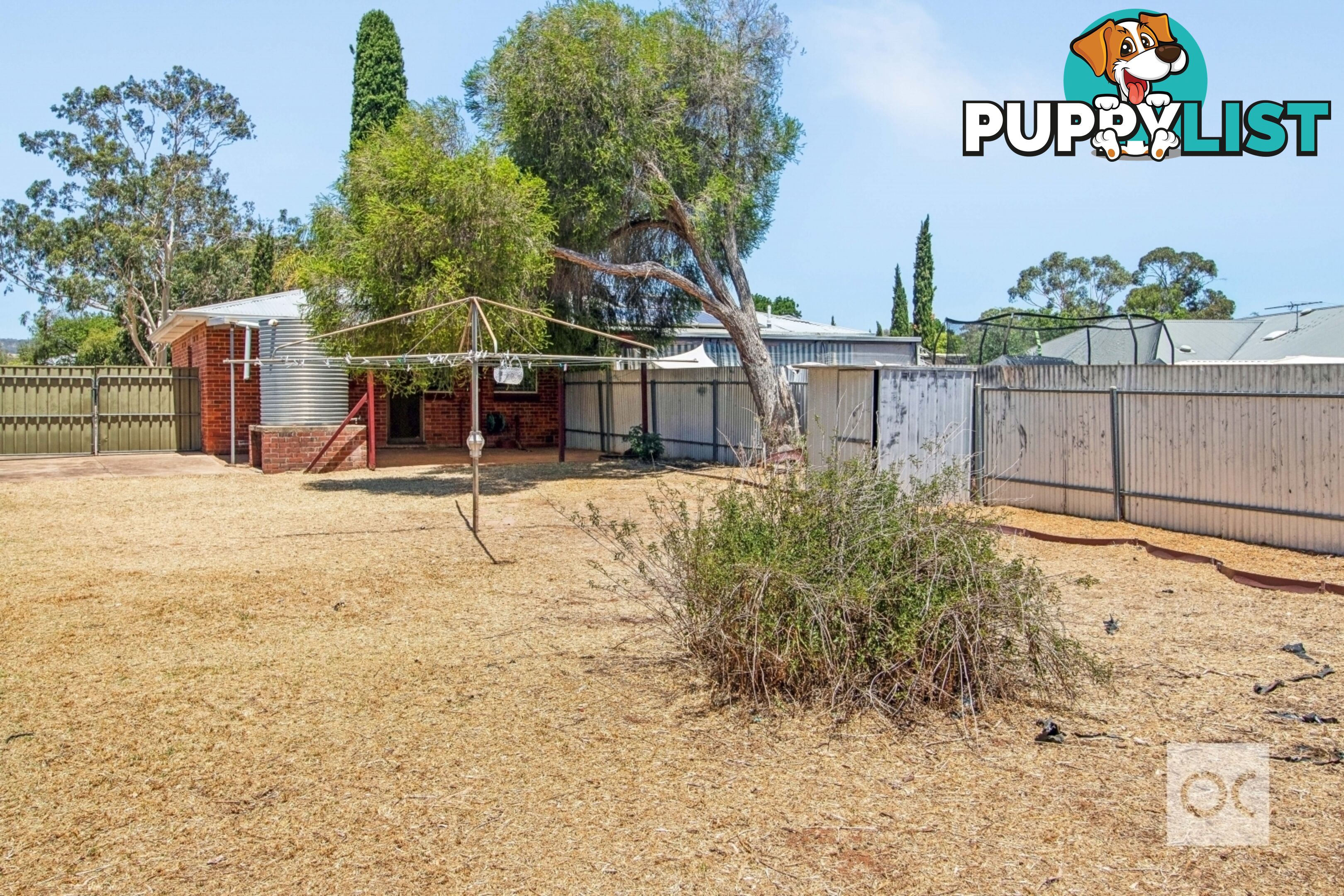 11 Loftis Road Elizabeth Downs SA 5113