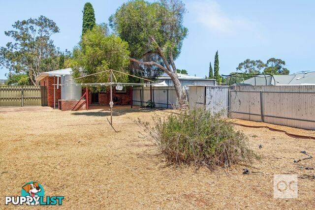 11 Loftis Road Elizabeth Downs SA 5113